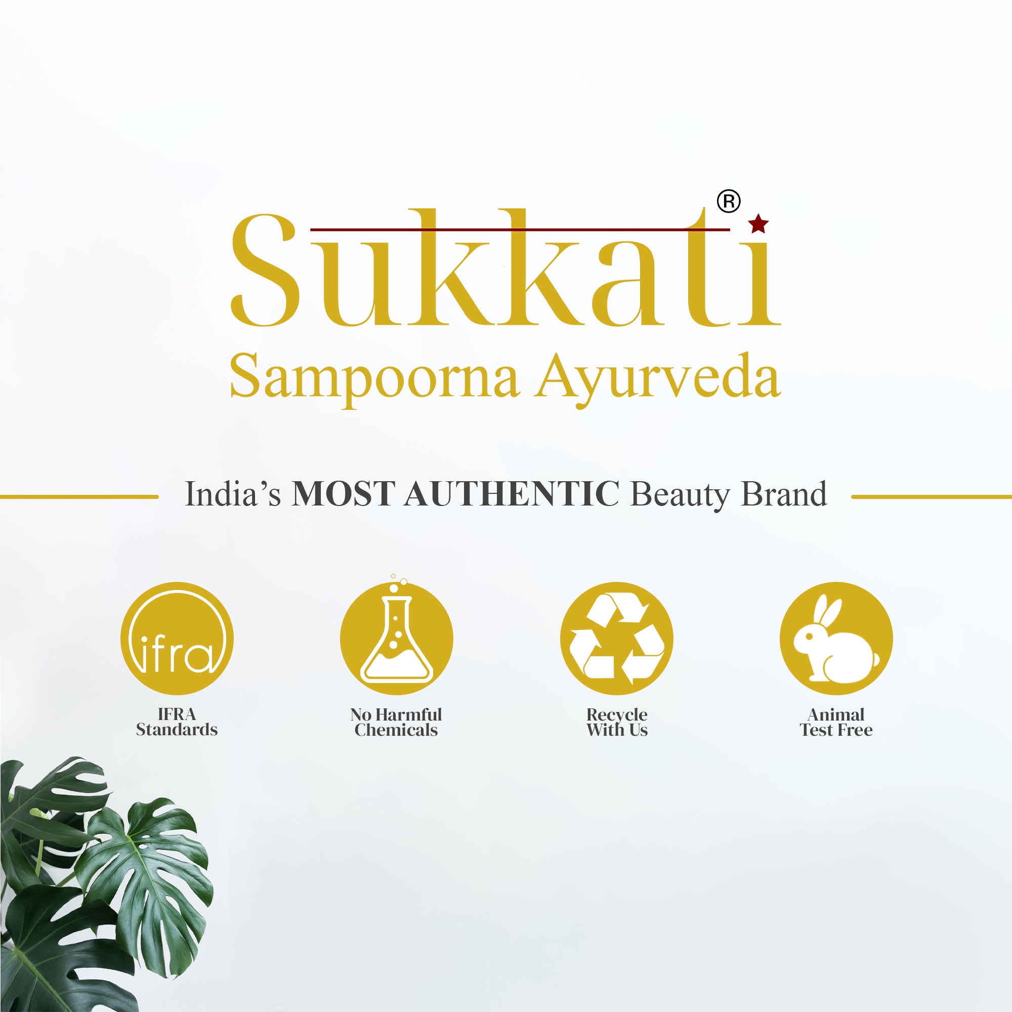 SunGuard Moisturizing Sunscreen